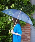 レディース 【TRADITIONAL WEATHERWEAR】CLEAR UMB BAMBO傘(雨傘) スローブ イエナ ブルー A フリー